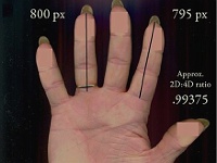 ./2015-07-05 Digit Ratio - AnneRose Blayk - Digit Ratio from Handscan.jpg